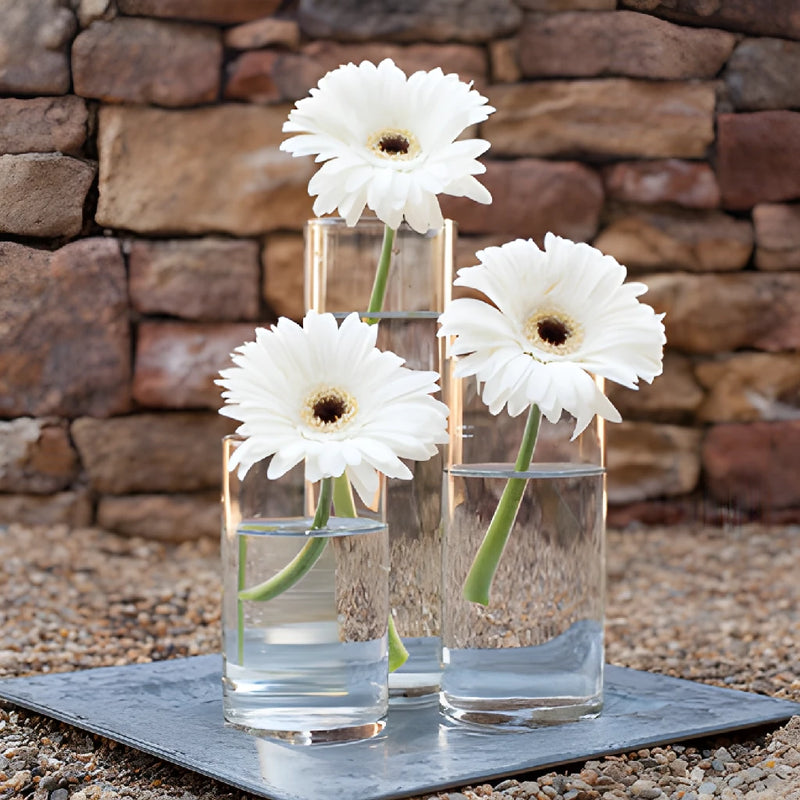 Simple Gerbera Centerpiece Single