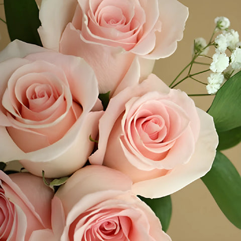 Vday Dozen Light Pink Rose Arrangement - Image