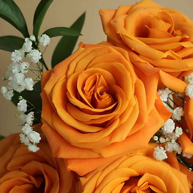 Vday Dozen Orange Rose Arrangement - Image