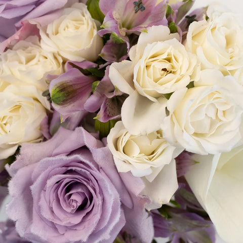 Velvet Purple Fresh Rose Diy Flower Kit Close Up - Image