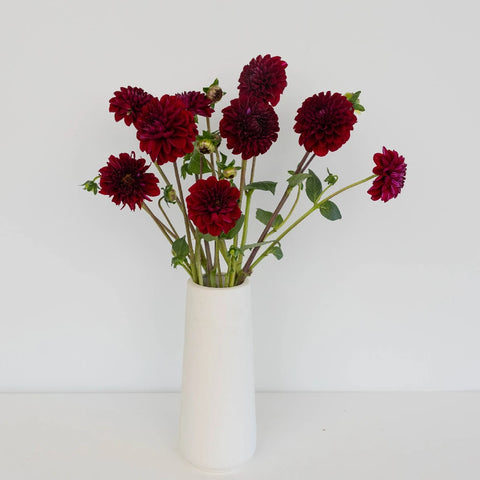 Velvet Wine Dahlia Flower Vase - Image