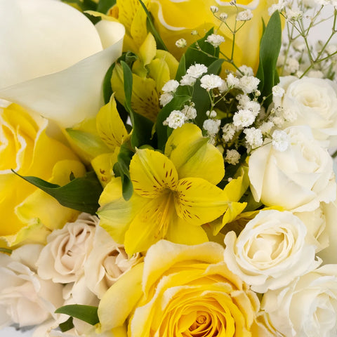 Velvet Yellow Fresh Rose Bouquet Bar Close Up - Image