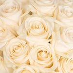 Vendela Ivory Rose Close Up - Image
