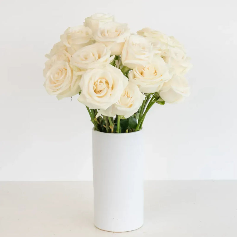 Vendela Ivory Roses Express Delivery Vase - Image