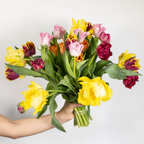 Vibrant Assorted Colors Tulip Bouquet Close Up - Image