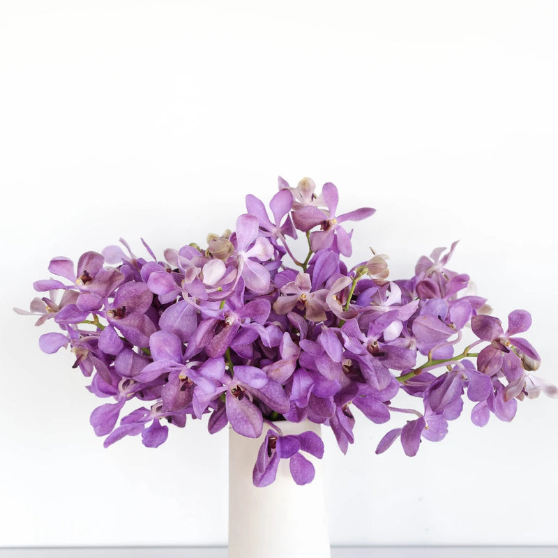 Vintage Mokara Orchid Flower Vase - Image