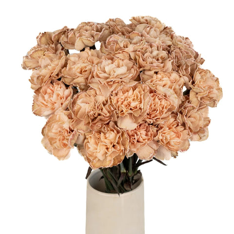 Vintage Vibes Beige Bulk Carnations Vase - Image