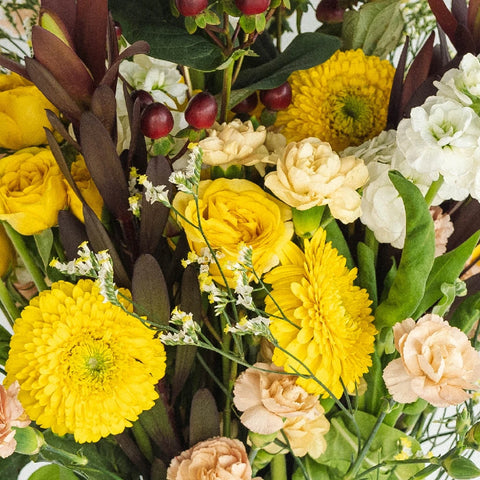 Vintage Yellow Combo Pack Apron - Image