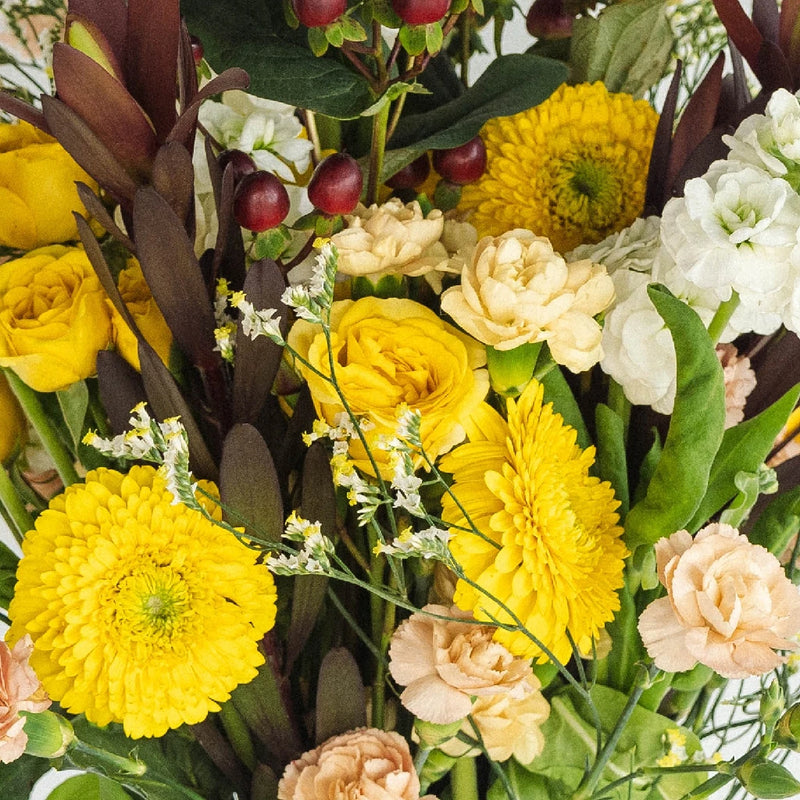 Vintage Yellow Combo Pack Apron - Image