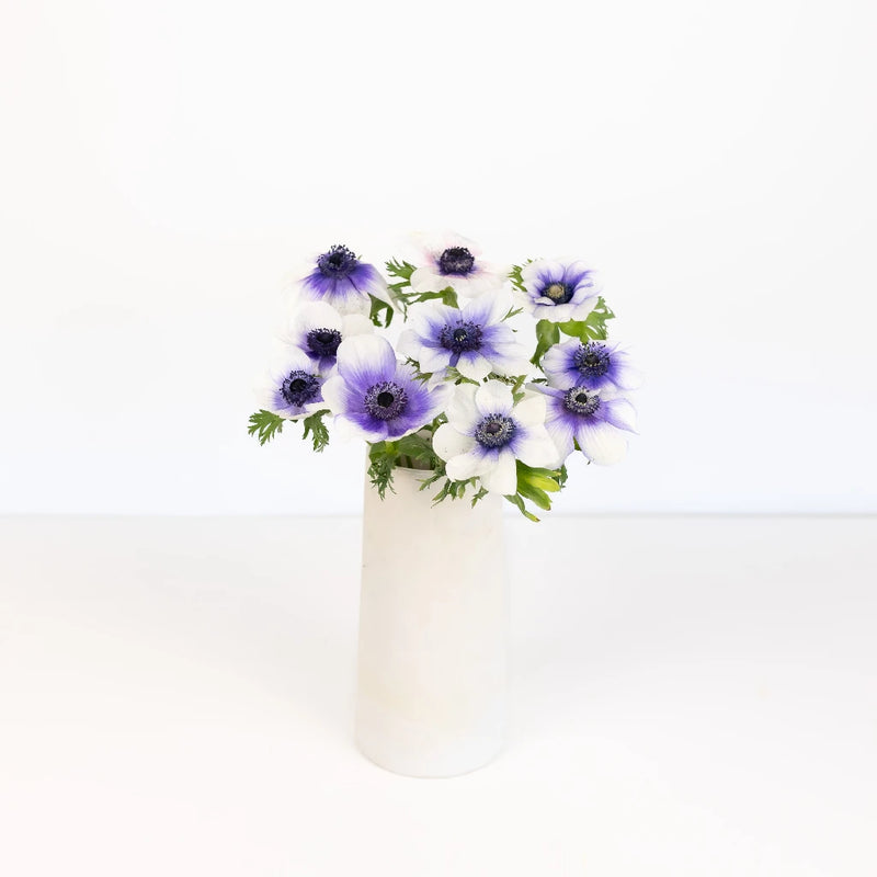 Viola Anemones Wholesale Flowers Vase - Image