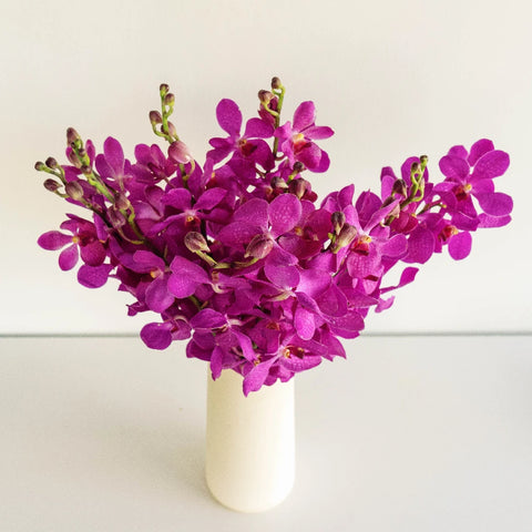 Violet Purple Speckled Mokara Orchid Vase - Image
