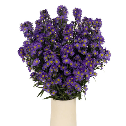Violet Purple Spray Aster Vase - Image