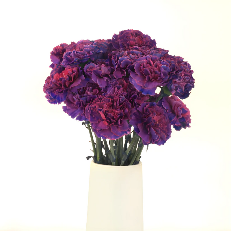 Vivacious Voilet Carnation Flower Vase - Image