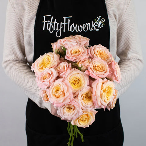 Peachy Keen Spray Garden Roses