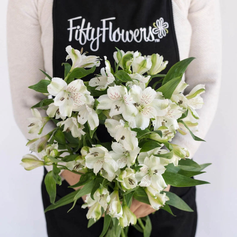 White Alstroemeria Fresh Flowers