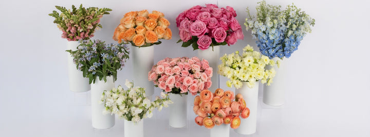 Watercolor Gardens DIY Flower Kit