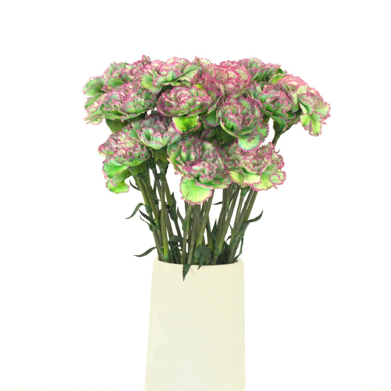Watermelon Sugar Carnation Flower Vase - Image