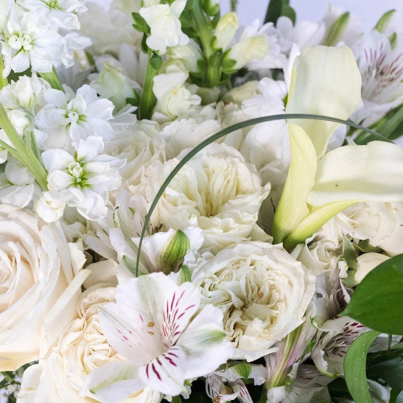 Wedding Decor Fresh White Flowers Close Up - Image