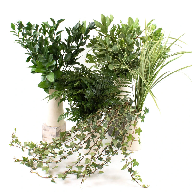 Wedding Greens Mix DIY Greenery Kit Recipe