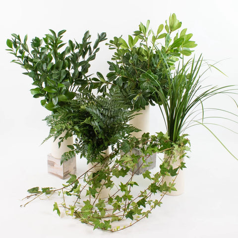 Wedding Greens Mix DIY Greenery Kit Recipe