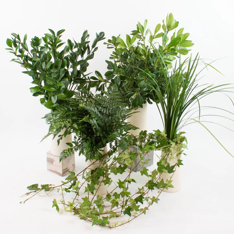 Wedding Greens Mix DIY Greenery Kit Recipe