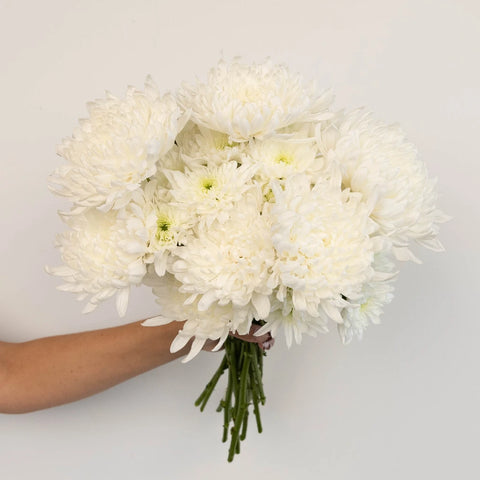 Wedding White Dahlia Style Cremon Pack Vase - Image