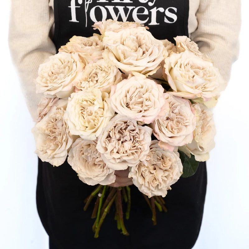 Westminister Abbey Apron - Image