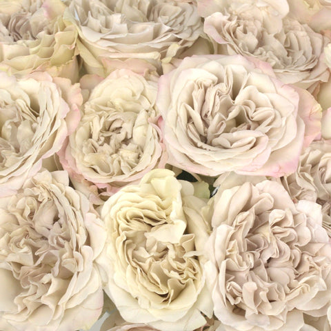 Westminister Abbey Close Up - Image