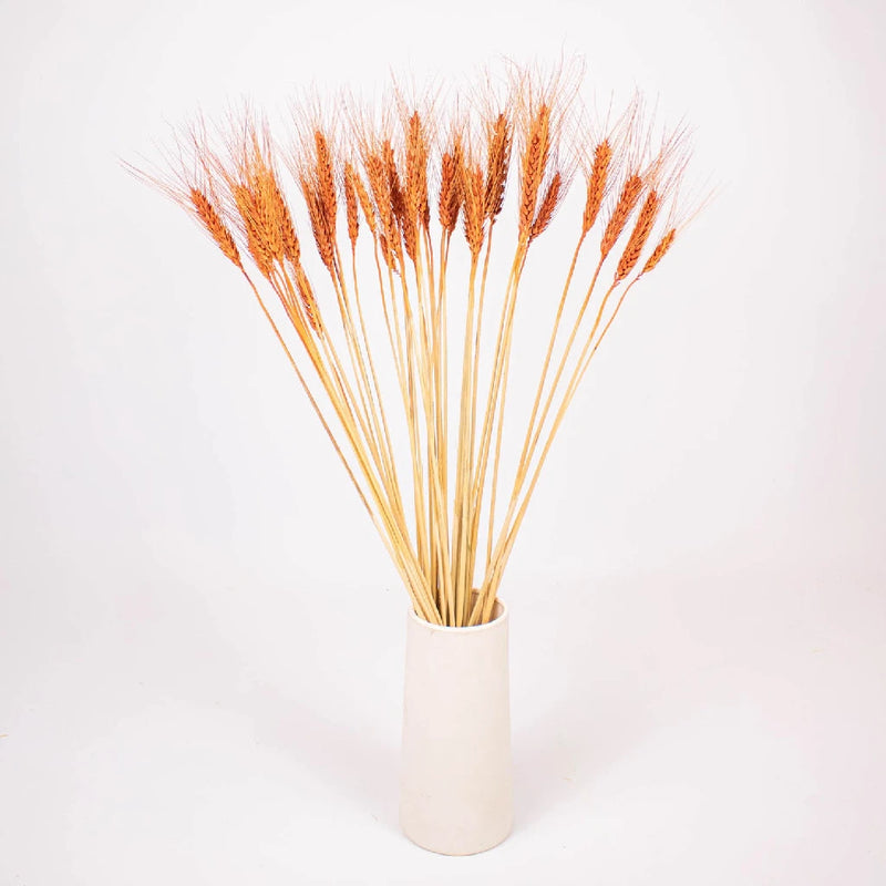 Brown Dried Wheat Grass