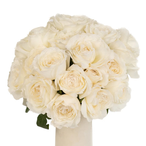 Whisper White Garden Rose Vase - Image