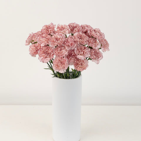 White And Purple Carnation Flowers Vase - Image