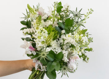White Blooming Flower Bouquet Close Up - Image
