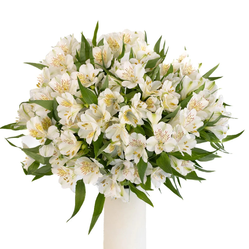 White Blush Peruvian Lilies Vase - Image