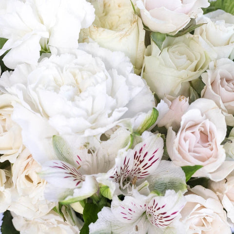 White Bulk Diy Flower Combo Close Up - Image