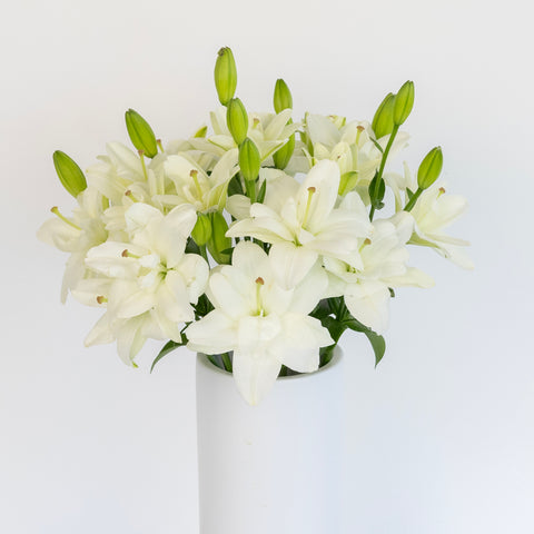 White Butterfly Lily Flower Vase - Image