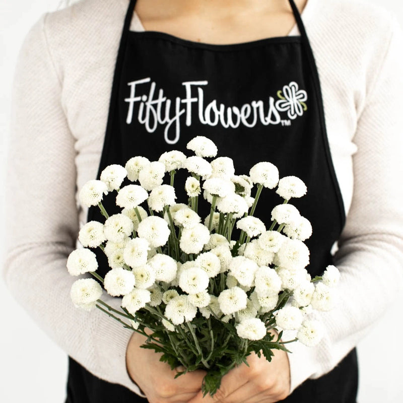 White Button Feverfew Apron - Image