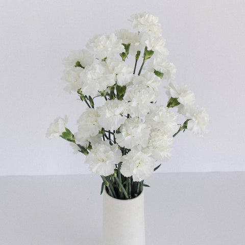 White Carnations Flower Vase - Image