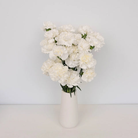 White Carnations Valentines Day Special Apron - Image