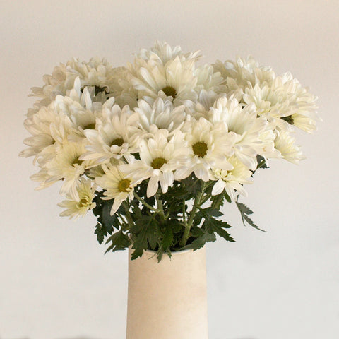 White Daisy Flower Vase - Image