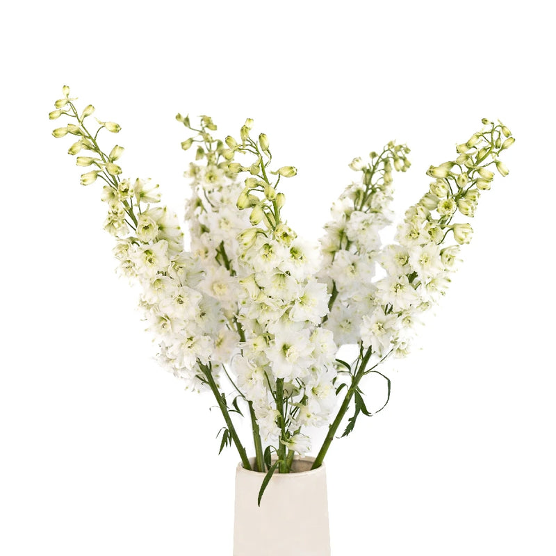 White Delphinium Flower Vase - Image