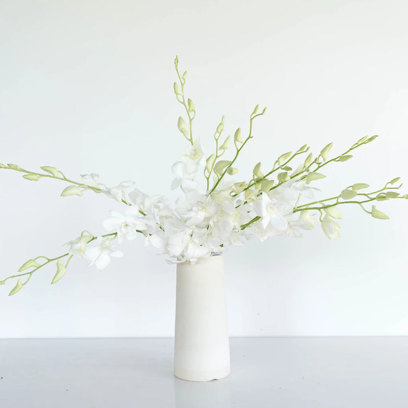 White Dendrobium Orchids Flower Vase - Image