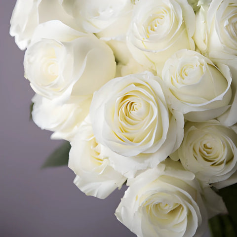 Fresh European Cut White Roses For Your House