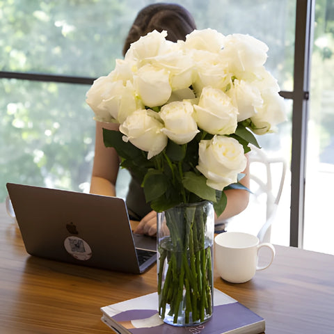 Fresh European Cut White Roses For Your House