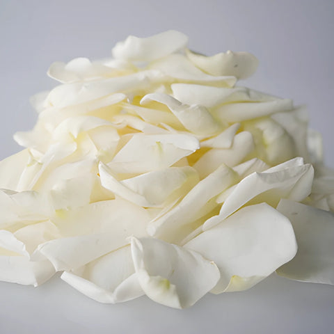 Dried White Garden Rose Petals