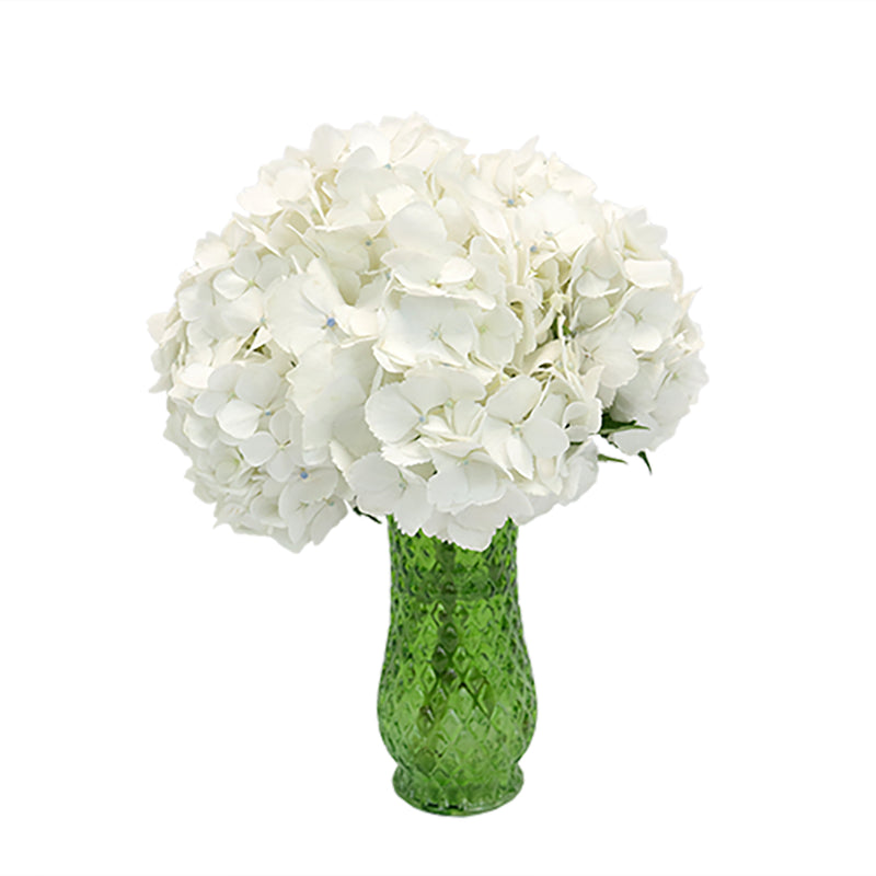 White Hydrangea Flower In a Vase