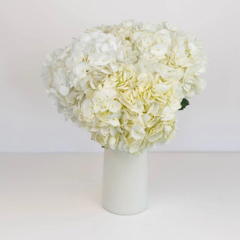 White Hydrangea Flower Vase - Image