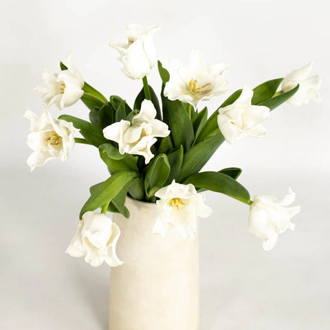 White Liberstar Tulip Flower Vase - Image