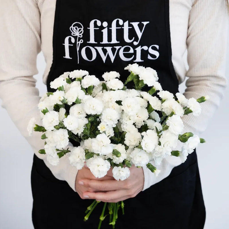 White Lilipot Dianthus Flower Other - Image