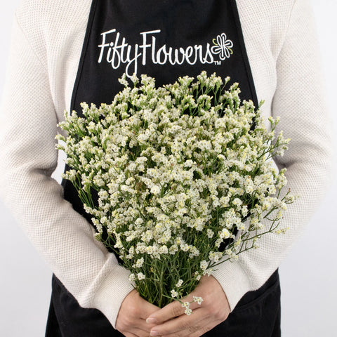 White Limonium Flower Bunch in Hand