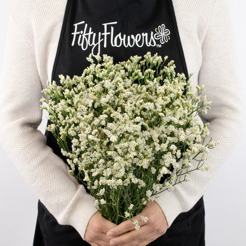 White Limonium Flower Bunch in Hand